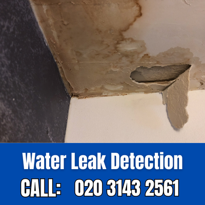 Expert Water Leak Detection Services in South Kensington | South Kensington Leak Detection